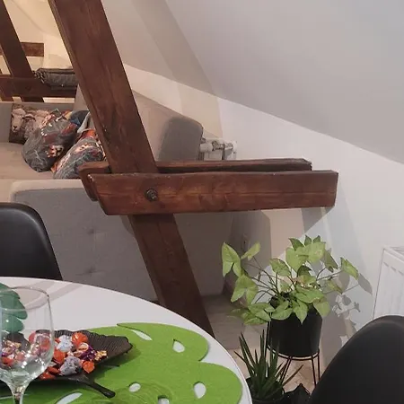 Serce Bytomia Zameldowanie 24 H Apartment Bytom