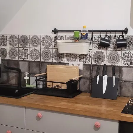 Serce Bytomia Zameldowanie 24 H Apartment