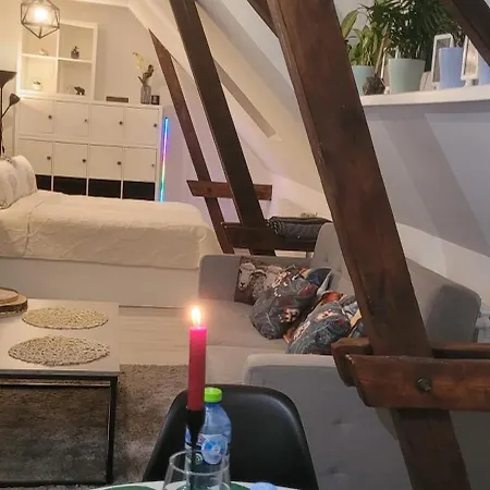 Serce Bytomia Zameldowanie 24 H Apartment