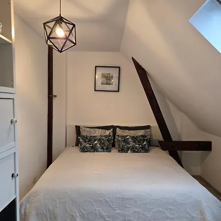 Apartment Serce Bytomia Zameldowanie 24 H Bytom
