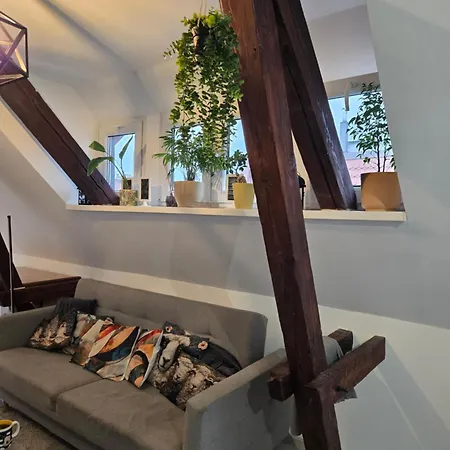 아파트 Serce Bytomia Zameldowanie 24 H *