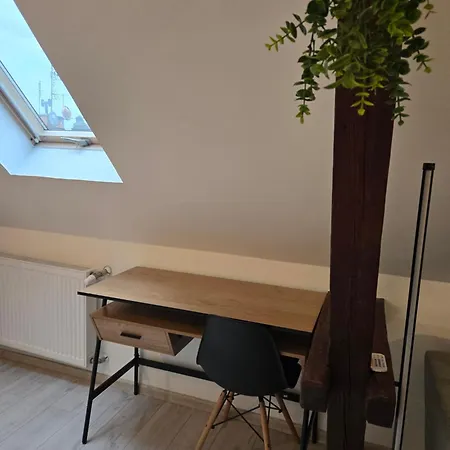 Serce Bytomia Zameldowanie 24 H *