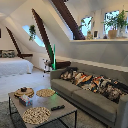 아파트 Serce Bytomia Zameldowanie 24 H 바이톰