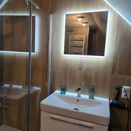 Serce Bytomia Zameldowanie 24 H Apartmán *