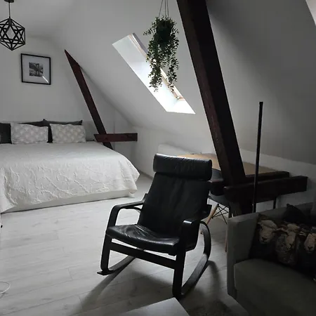 Serce Bytomia Zameldowanie 24 H