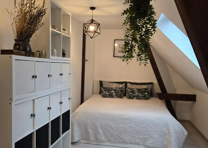 Serce Bytomia Zameldowanie 24 H *