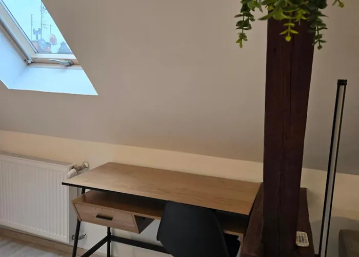 Serce Bytomia Zameldowanie 24 H *