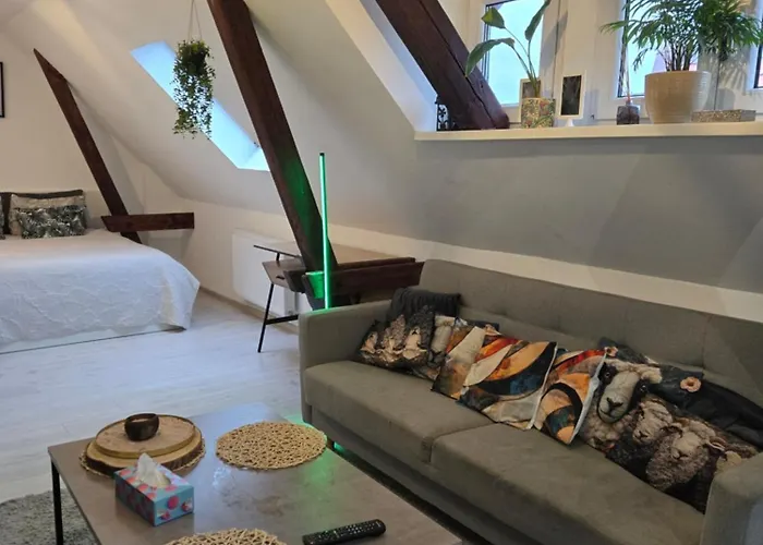 Apartamento Serce Bytomia Zameldowanie 24 H Bytom