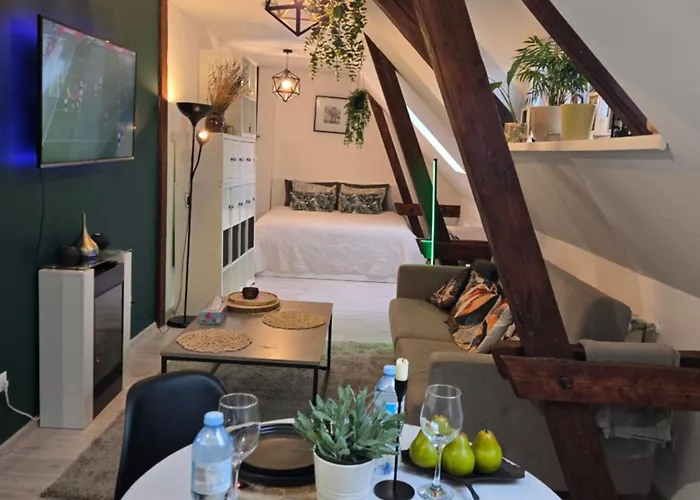 Serce Bytomia Zameldowanie 24 H Bytom