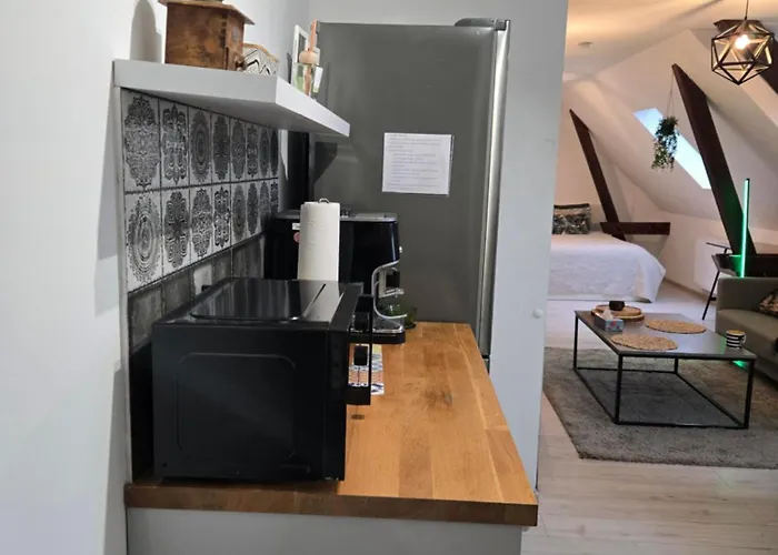 Apartamento Serce Bytomia Zameldowanie 24 H *