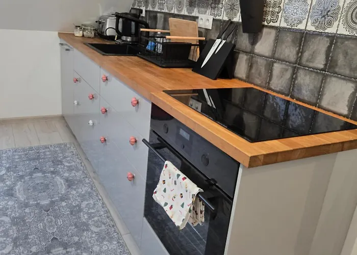 Serce Bytomia Zameldowanie 24 H Apartamento Bytom