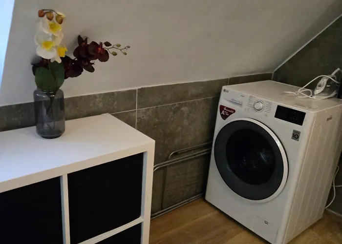 Apartamento Serce Bytomia Zameldowanie 24 H Bytom