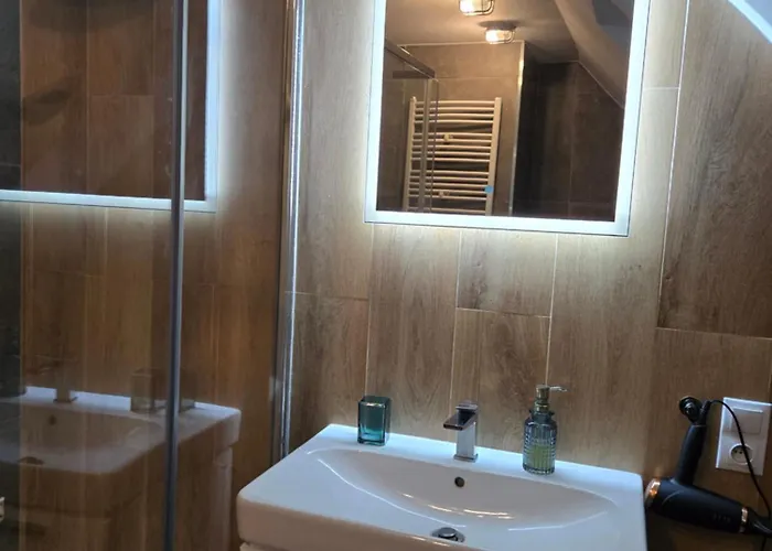 Serce Bytomia Zameldowanie 24 H Apartamento *