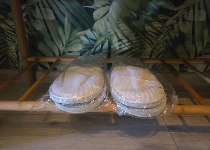 Serce Bytomia Zameldowanie 24 H ביטום