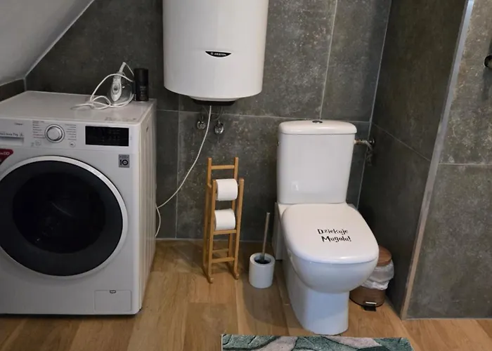 Serce Bytomia Zameldowanie 24 H Bytom