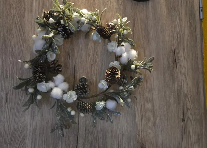 Serce Bytomia Zameldowanie 24 H Bytom