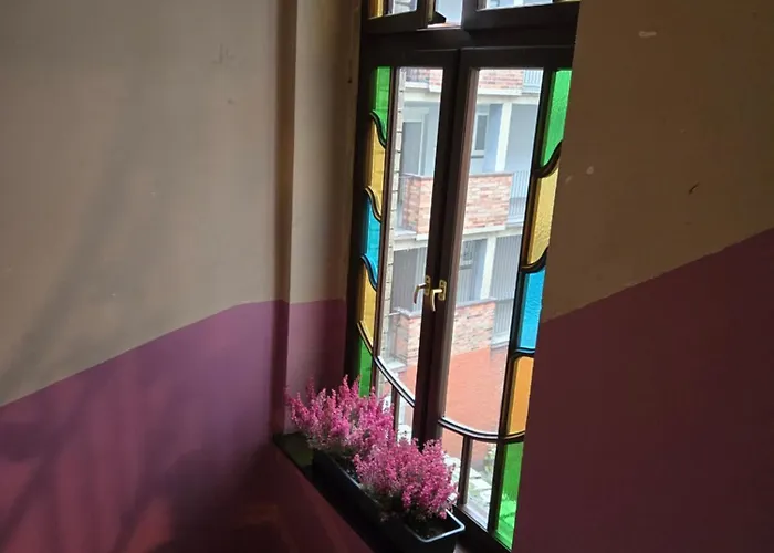 Apartamento Serce Bytomia Zameldowanie 24 H *