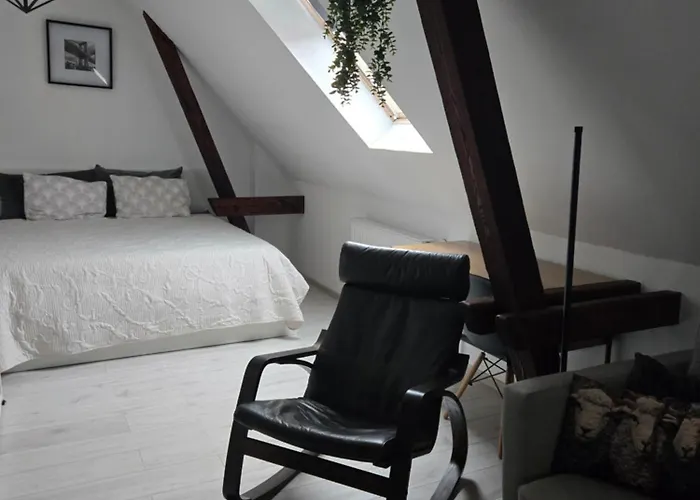 Serce Bytomia Zameldowanie 24 H