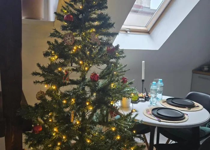 Serce Bytomia Zameldowanie 24 H * Bytom